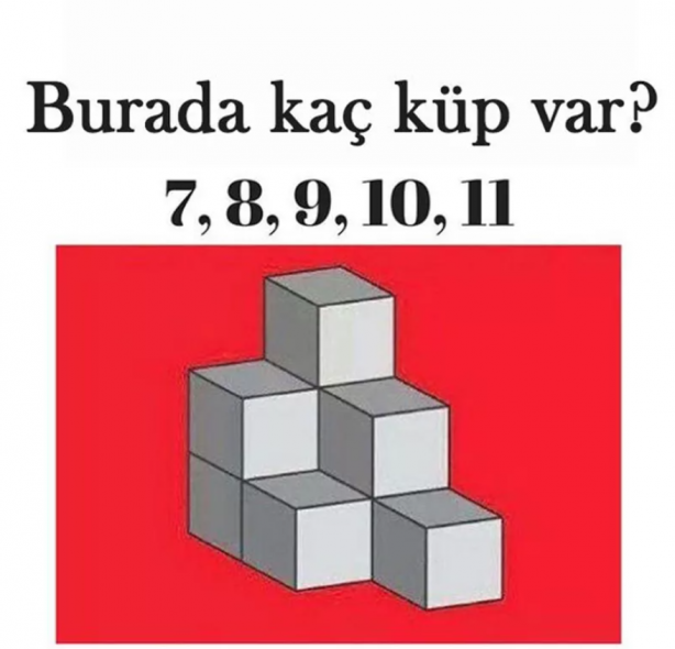 Foto - Hepsi birbirinden ilginç! İşte en popüler mantık soruları