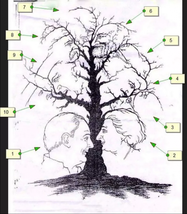 Foto - Hepsi birbirinden ilginç! İşte en popüler mantık soruları