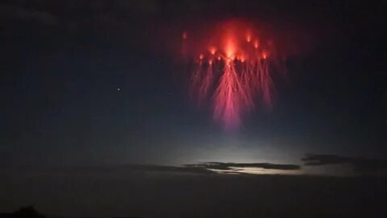 Hepsi birbirinden ilginç! Temmuz ayının en tuhaf ve sıra dışı olayları