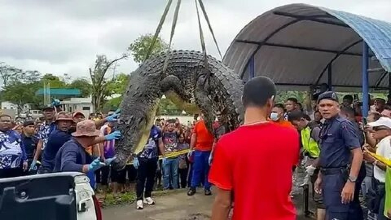 Foto - Hepsi birbirinden ilginç! Temmuz ayının en tuhaf ve sıra dışı olayları