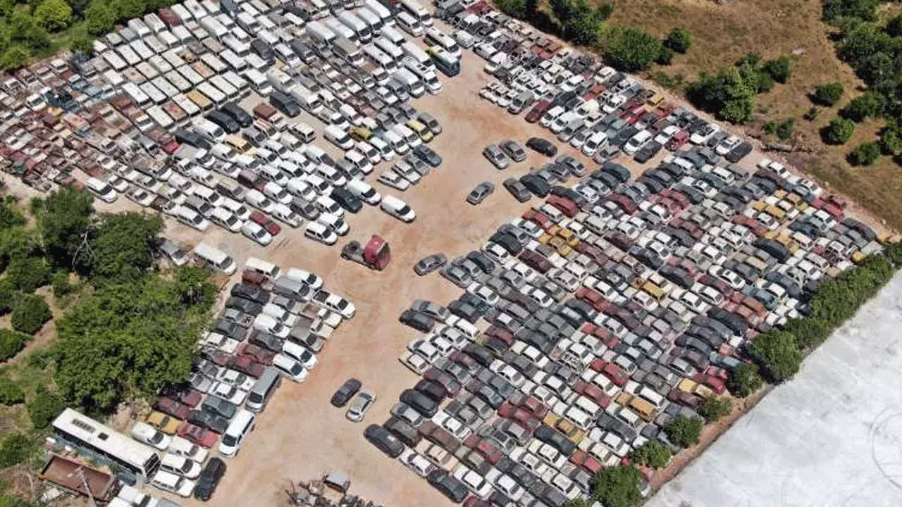 Foto - Hepsi çürümeye tek edildi! Milyonlarca lira değerinde!