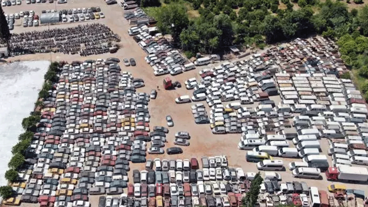 Foto - Hepsi çürümeye tek edildi! Milyonlarca lira değerinde!