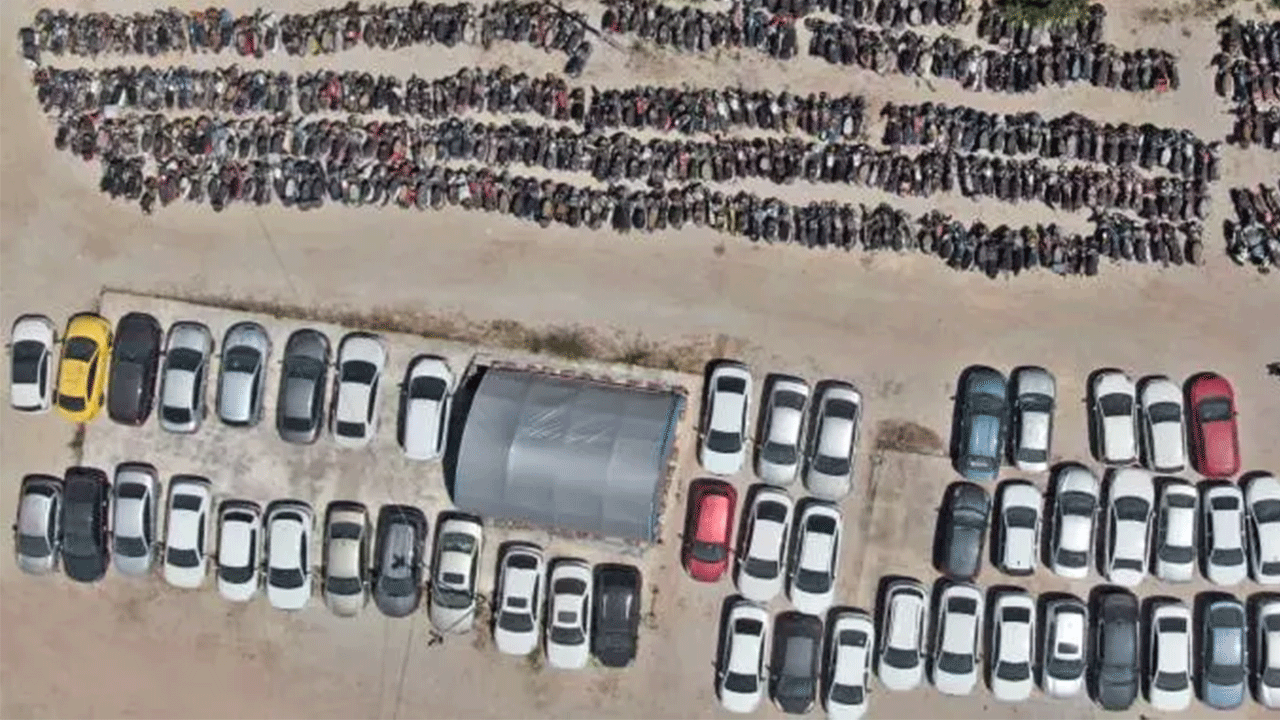 Foto - Hepsi çürümeye tek edildi! Milyonlarca lira değerinde!