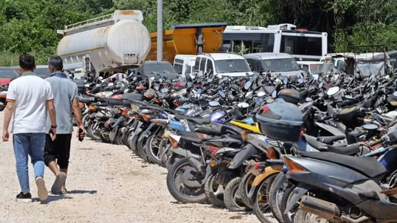 Foto - Hepsi çürümeye tek edildi! Milyonlarca lira değerinde!