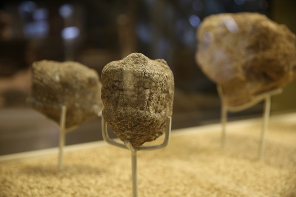 Foto - Hepsi neolitik döneme ait! O heykel sergilenecek