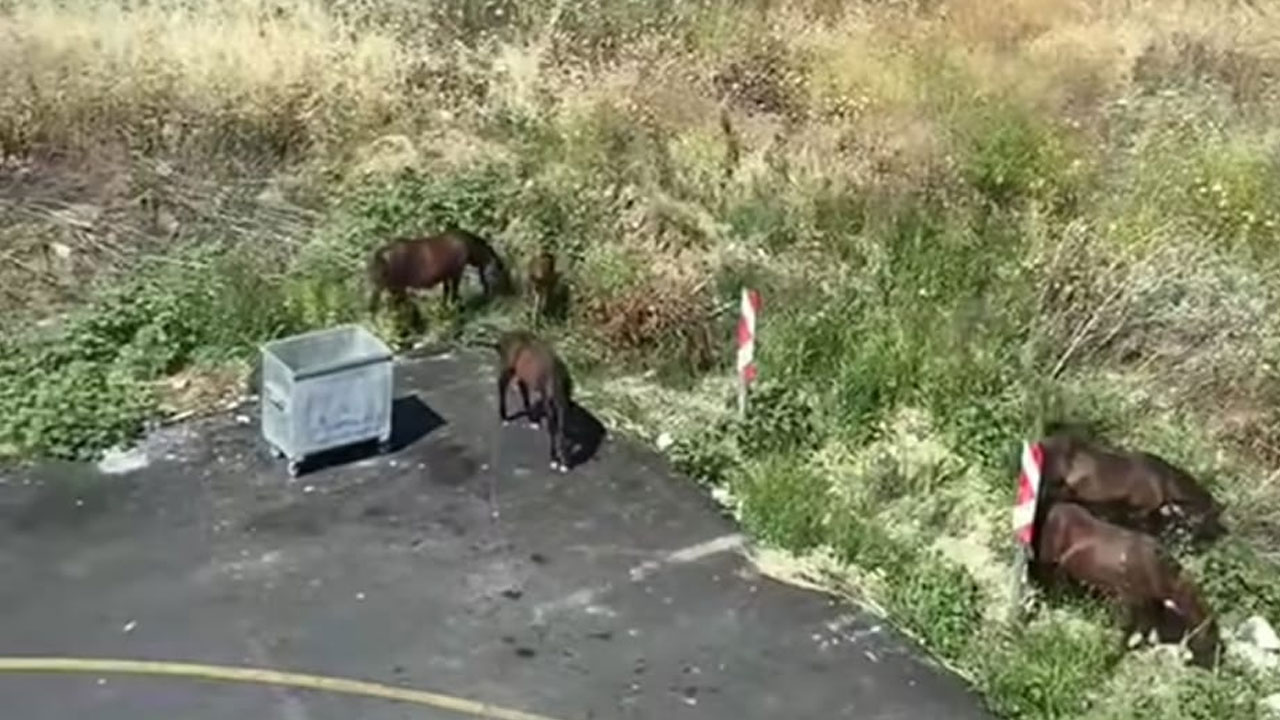 Foto - Hepsi Özgür Özel'in yarın miting yapacağı o ilde bir günde yaşandı.. CHP uğursuzluğu değilse ne bunlar?.