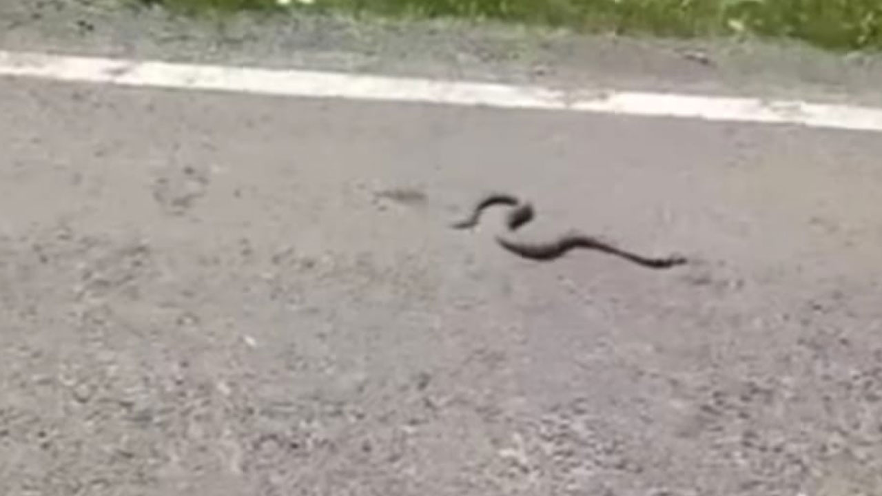 Foto - Hepsi Özgür Özel'in yarın miting yapacağı o ilde bir günde yaşandı.. CHP uğursuzluğu değilse ne bunlar?.