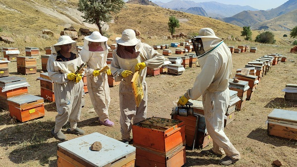 Foto - Hepsi telef olmuştu! Deprem sonrası ilk hasat 