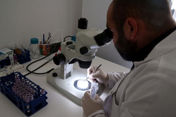 Hepsi Türkiye'de ortaya çıktı! İnsanlara ve hayvanlara hastalık taşıyorlar