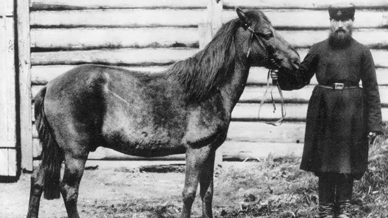 Foto - Hepsi zamana yenildi: İşte nesli tükenen hayvanların son görüntüleri!