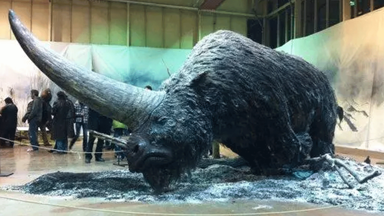 Foto - Hepsi zamana yenildi: İşte nesli tükenen hayvanların son görüntüleri!