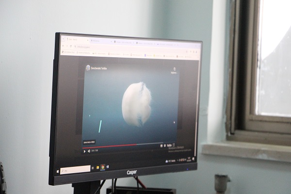 Foto - Bilim adamları uyarı üstüne uyarı yapıyor! Sakın dokunmayın sonu kötü