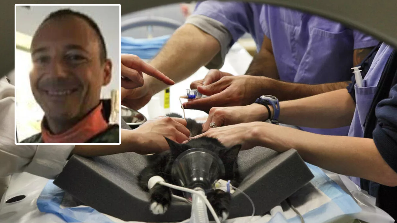 Foto - Hepsini severek okuyacaksınız! Dünyada geçen ayın en tuhaf olayları