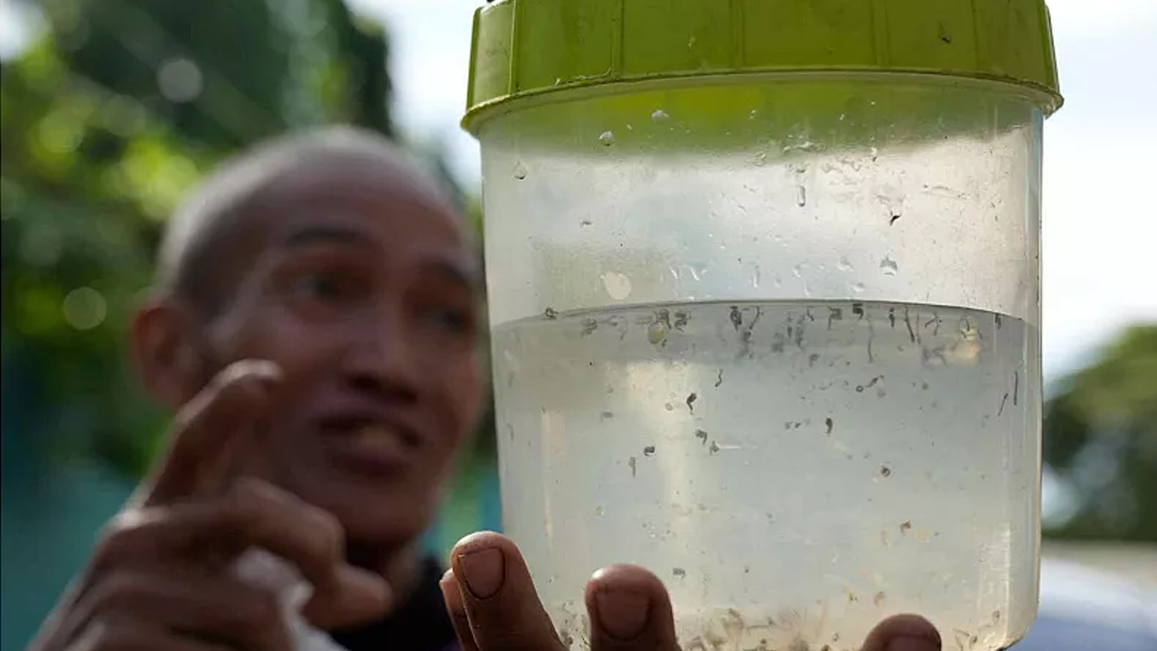 Foto - Hepsini severek okuyacaksınız! Dünyada geçen ayın en tuhaf olayları