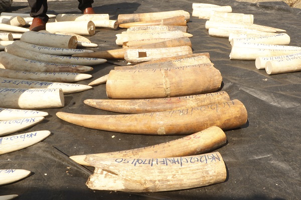 Hepsini tek tek imha ettiler! Değeri tam 11,2 milyon dolar