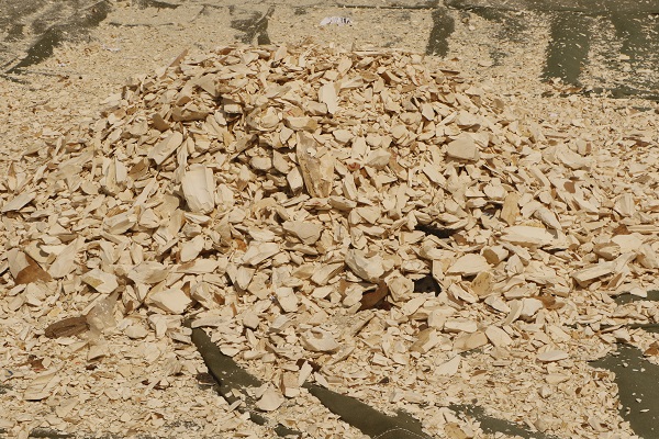 Foto - Hepsini tek tek imha ettiler! Değeri tam 11,2 milyon dolar