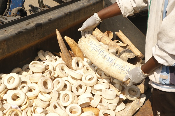 Foto - Hepsini tek tek imha ettiler! Değeri tam 11,2 milyon dolar