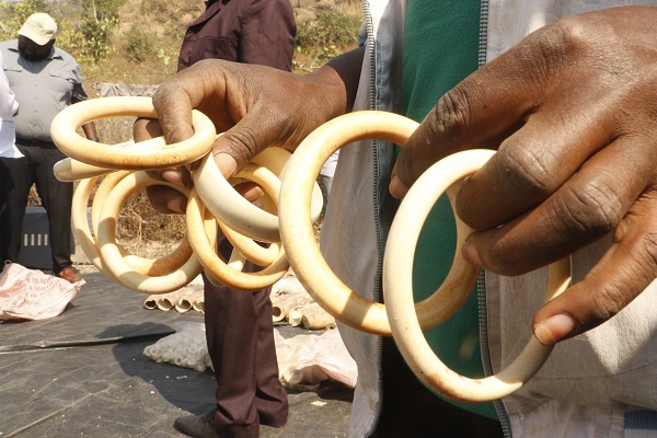 Foto - Hepsini tek tek imha ettiler! Değeri tam 11,2 milyon dolar