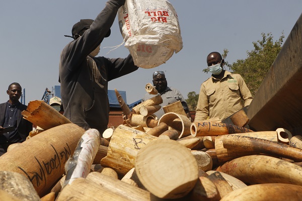 Foto - Hepsini tek tek imha ettiler! Değeri tam 11,2 milyon dolar