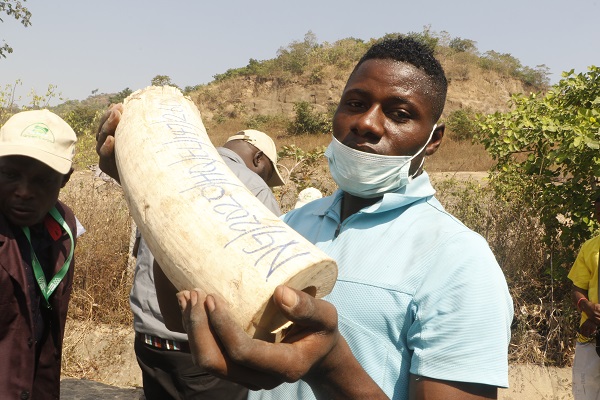 Foto - Hepsini tek tek imha ettiler! Değeri tam 11,2 milyon dolar