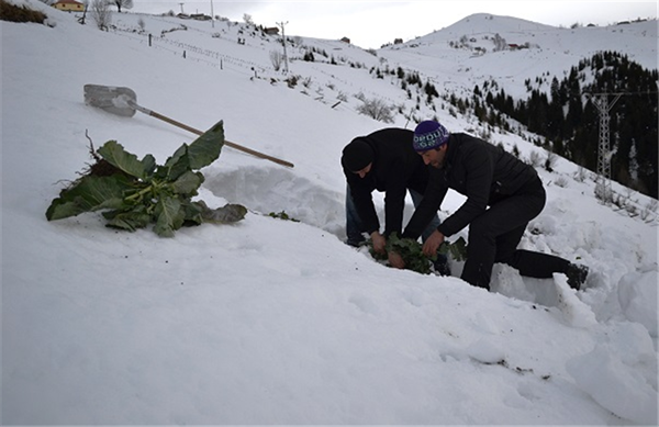 Foto - Hepsini yanlış kullanıyormuşuz!