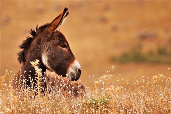 Foto - Hepsini yanlış kullanıyormuşuz!