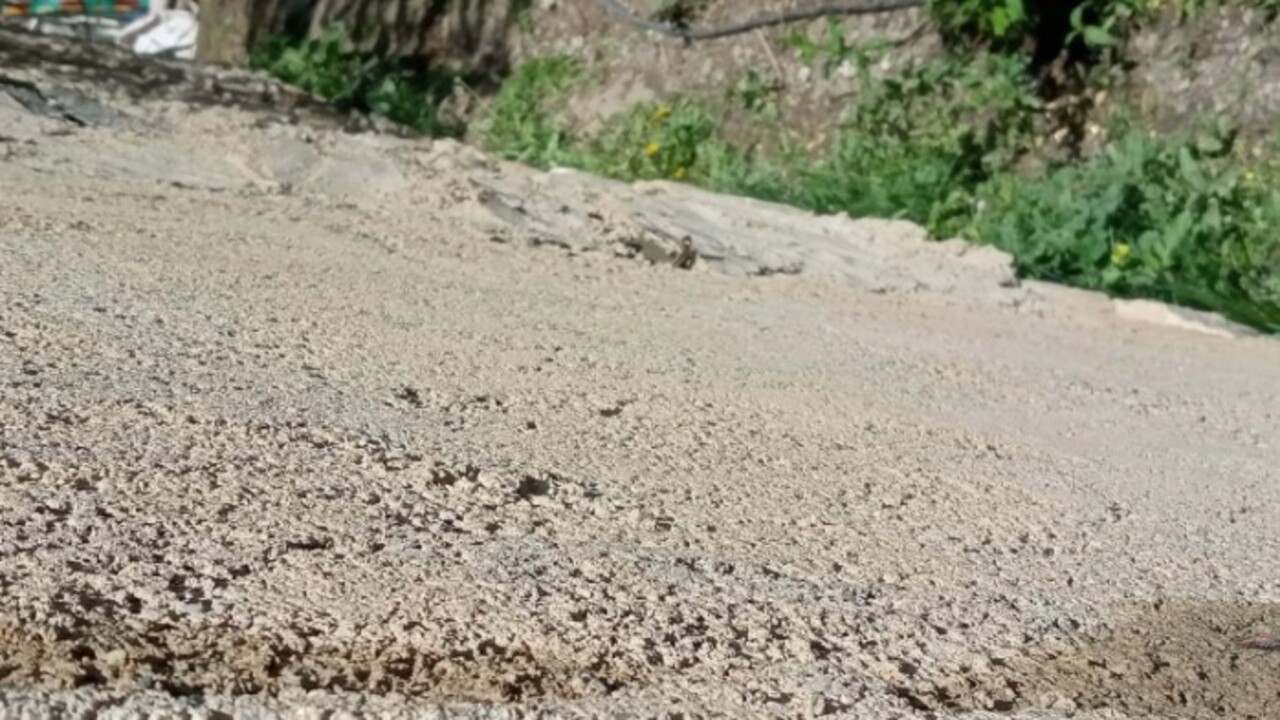 Foto - Her an yerden çıkabilir! Ailenin kabusu hava ısınınca başlıyor