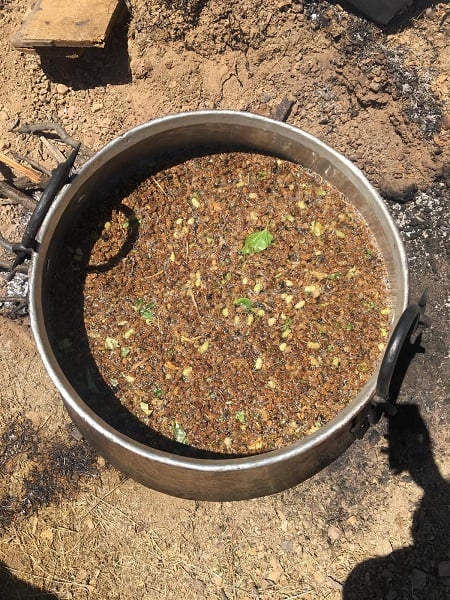 Foto - Her bir damlası şifa! Kazanlar sağlık için kaynıyor