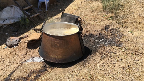 Foto - Her bir damlası şifa! Kazanlar sağlık için kaynıyor