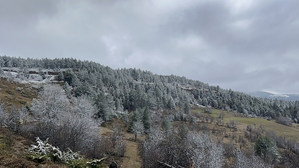 Foto - Her bir kare adeta kartpostallık 