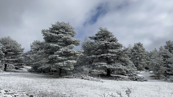 Foto - Her bir kare adeta kartpostallık 