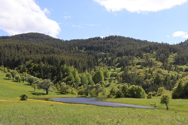 Foto - Her bir kare adeta kartpostallık