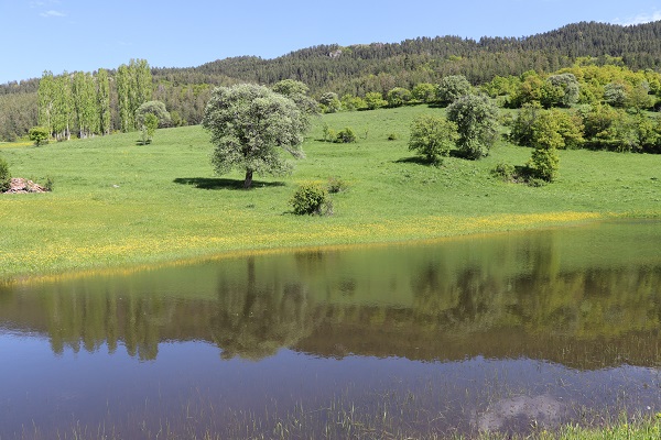 Foto - Her bir kare adeta kartpostallık