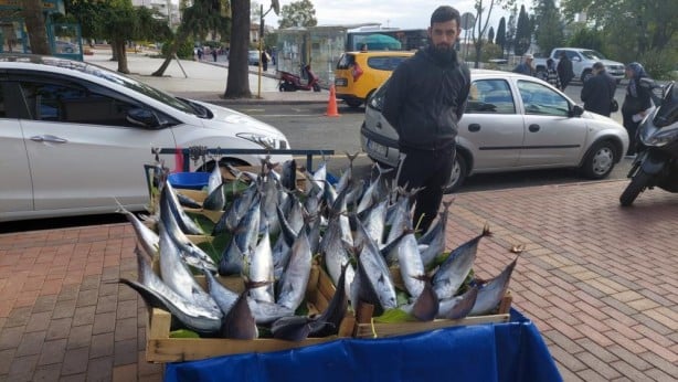 Foto - Her biri 50 lira! 1 tanesiyle 2 kişi doyuyor