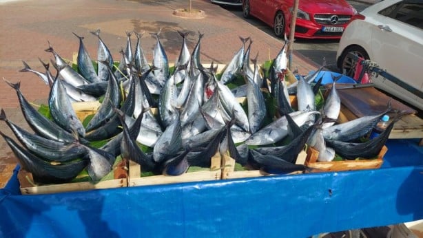 Foto - Her biri 50 lira! 1 tanesiyle 2 kişi doyuyor