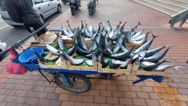 Foto - Her biri 50 lira! 1 tanesiyle 2 kişi doyuyor