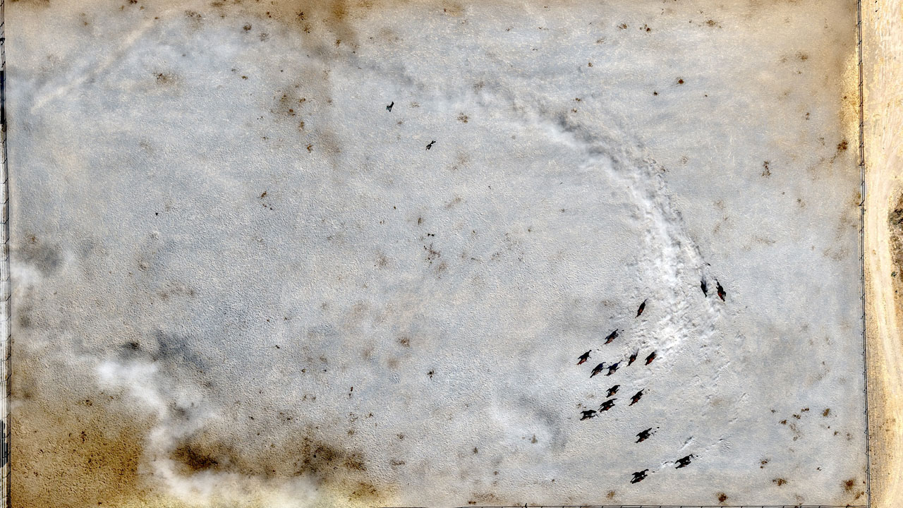 Foto - Her biri altın değerinde! 5 yılda 210 milyon lira gelir