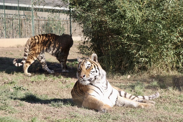 Foto - Her biri birbirinden sevimli! Darıca’nın minikleri