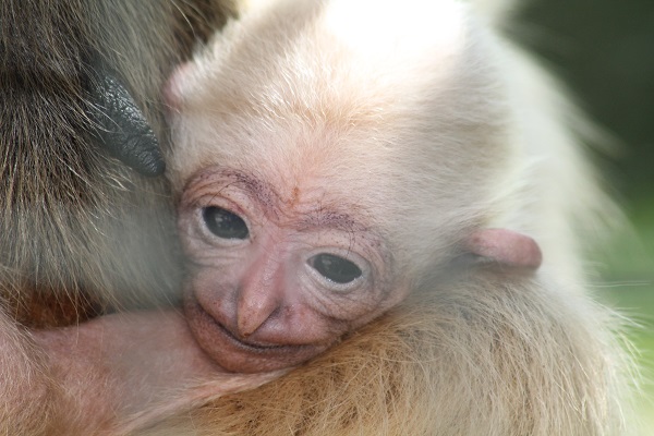 Foto - Her biri birbirinden sevimli! Darıca’nın minikleri