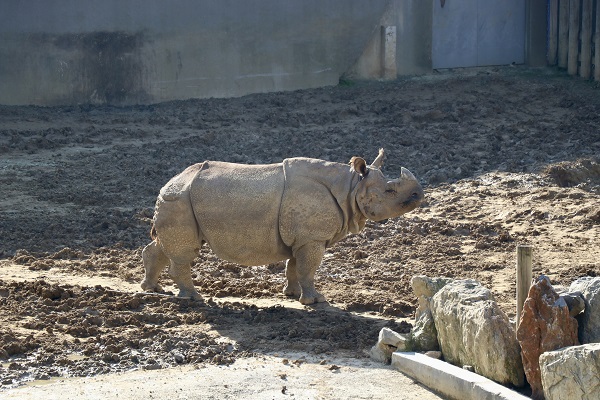 Foto - Her biri birbirinden sevimli! Darıca’nın minikleri