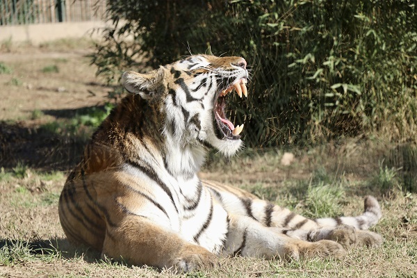 Foto - Her biri birbirinden sevimli! Darıca’nın minikleri