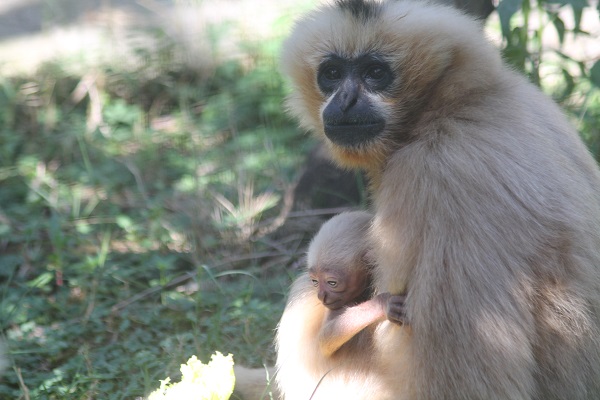 Foto - Her biri birbirinden sevimli! Darıca’nın minikleri