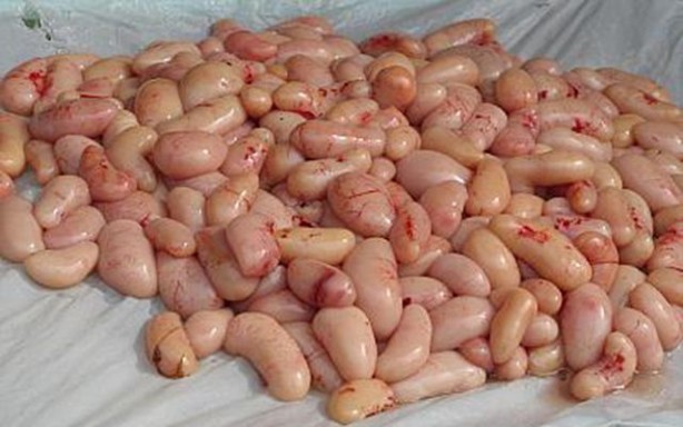 Foto - Her biri mide bulandırıyor... İşte Çinlilerin yediği gıdalar