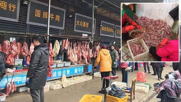 Foto - Her biri mide bulandırıyor... İşte Çinlilerin yediği gıdalar