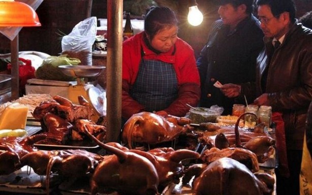 Foto - Her biri mide bulandırıyor... İşte Çinlilerin yediği gıdalar