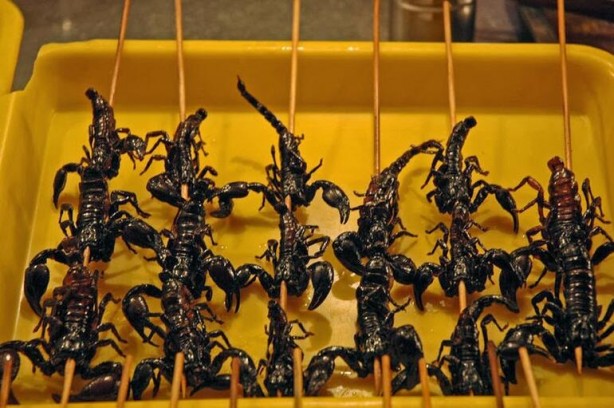 Foto - Her biri mide bulandırıyor... İşte Çinlilerin yediği gıdalar