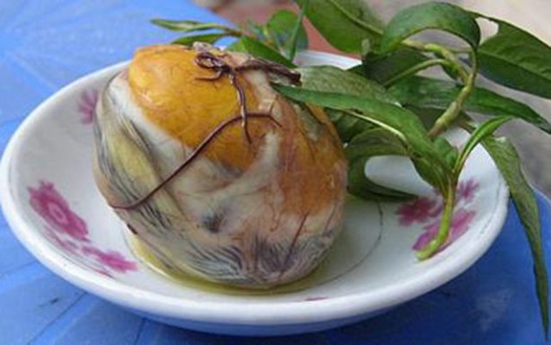 Foto - Her biri mide bulandırıyor... İşte Çinlilerin yediği gıdalar