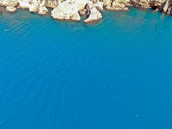 Foto - Her biri şemsiye büyüklüğünde! Bakın bunlar neymiş