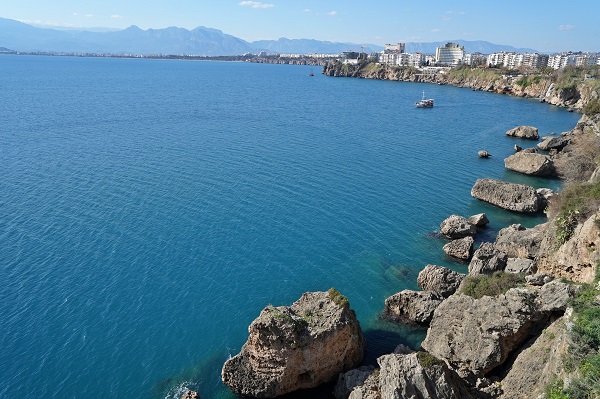 Foto - Her biri şemsiye büyüklüğünde! Bakın bunlar neymiş