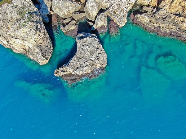 Foto - Her biri şemsiye büyüklüğünde! Bakın bunlar neymiş